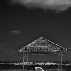 White dog with a beach hut in the foreground and rough sea and clouds in the background