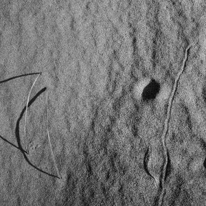 Two arched straws projecting shadow on the sand and a line separating two round marks