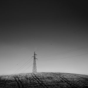 Tractor tracks in a wheat field leading to an electricity pylon