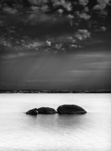 Tree round rocks in calm sea with far coastline and clouds