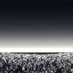 A thin view of sea between pebbles and clear sky.