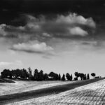 Rolling harvested field crossed by dark diagonal land stripe with tree grove on the horizon.