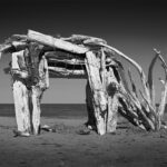 Deer-like figure made of driftwood logs standing on sandy beach with sea and horizon in background.