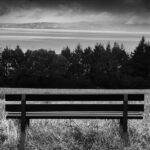 Bench seen from behind, facing trees and a lake.