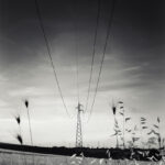 Wheat field in foreground with electric cables leading to pylons.